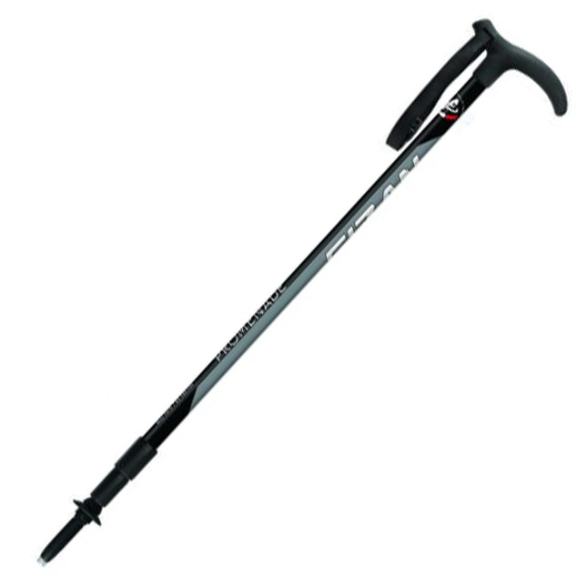 Fizan Promenade Walking Pole By Fizan